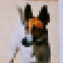 postimage