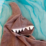shark feature